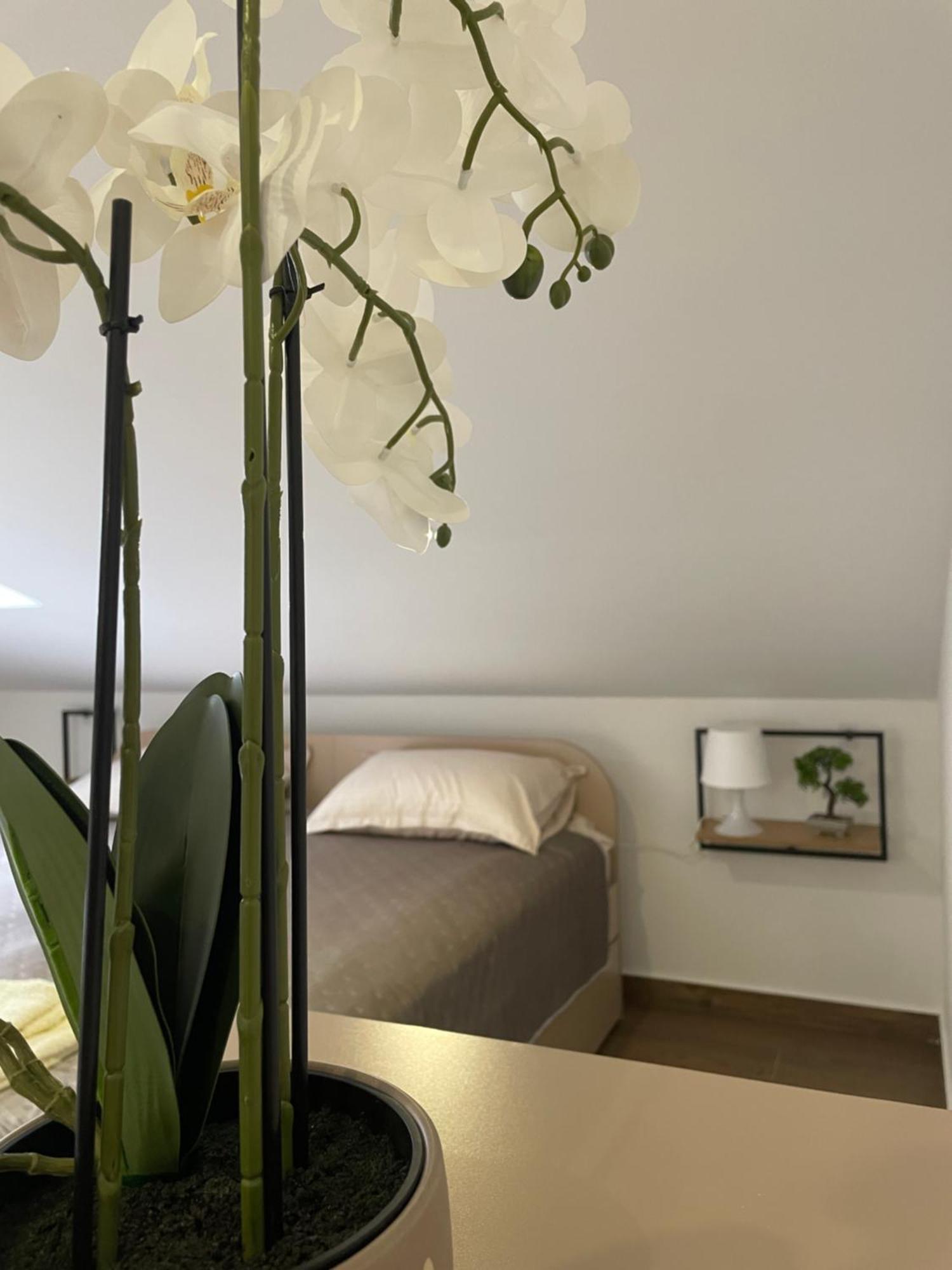 Joy Apartment 6 Belgrad Exterior foto